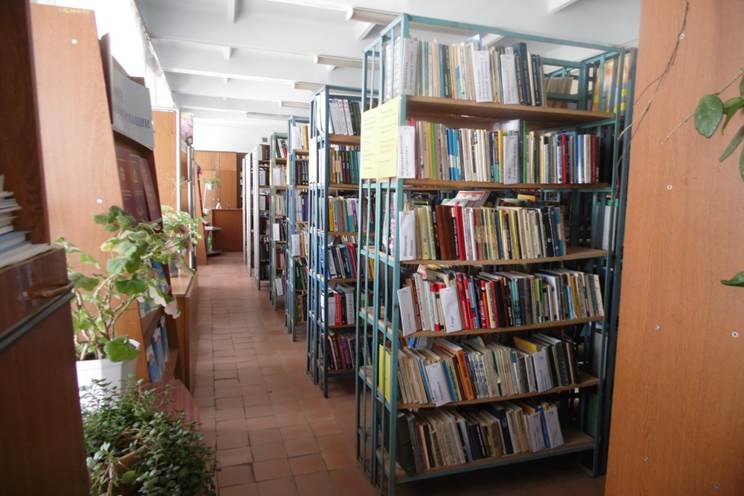 Шенталинская центральная районная библиотека