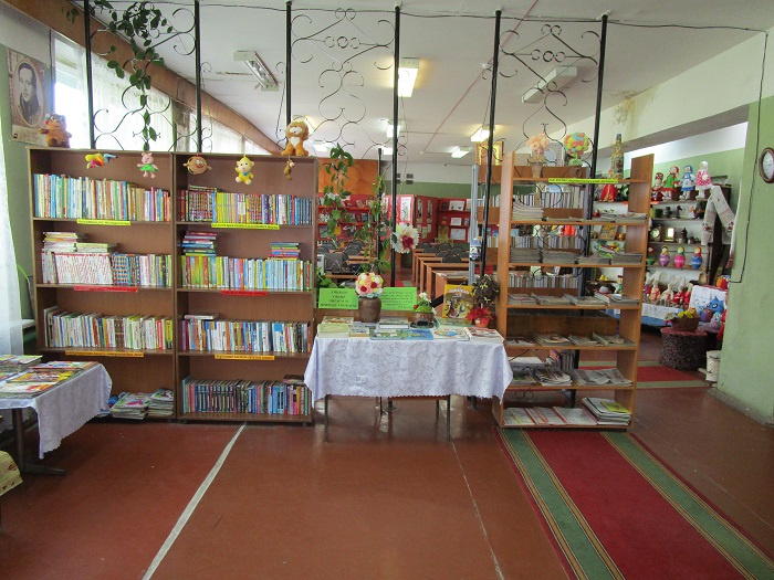 Большеелховская сельская библиотека