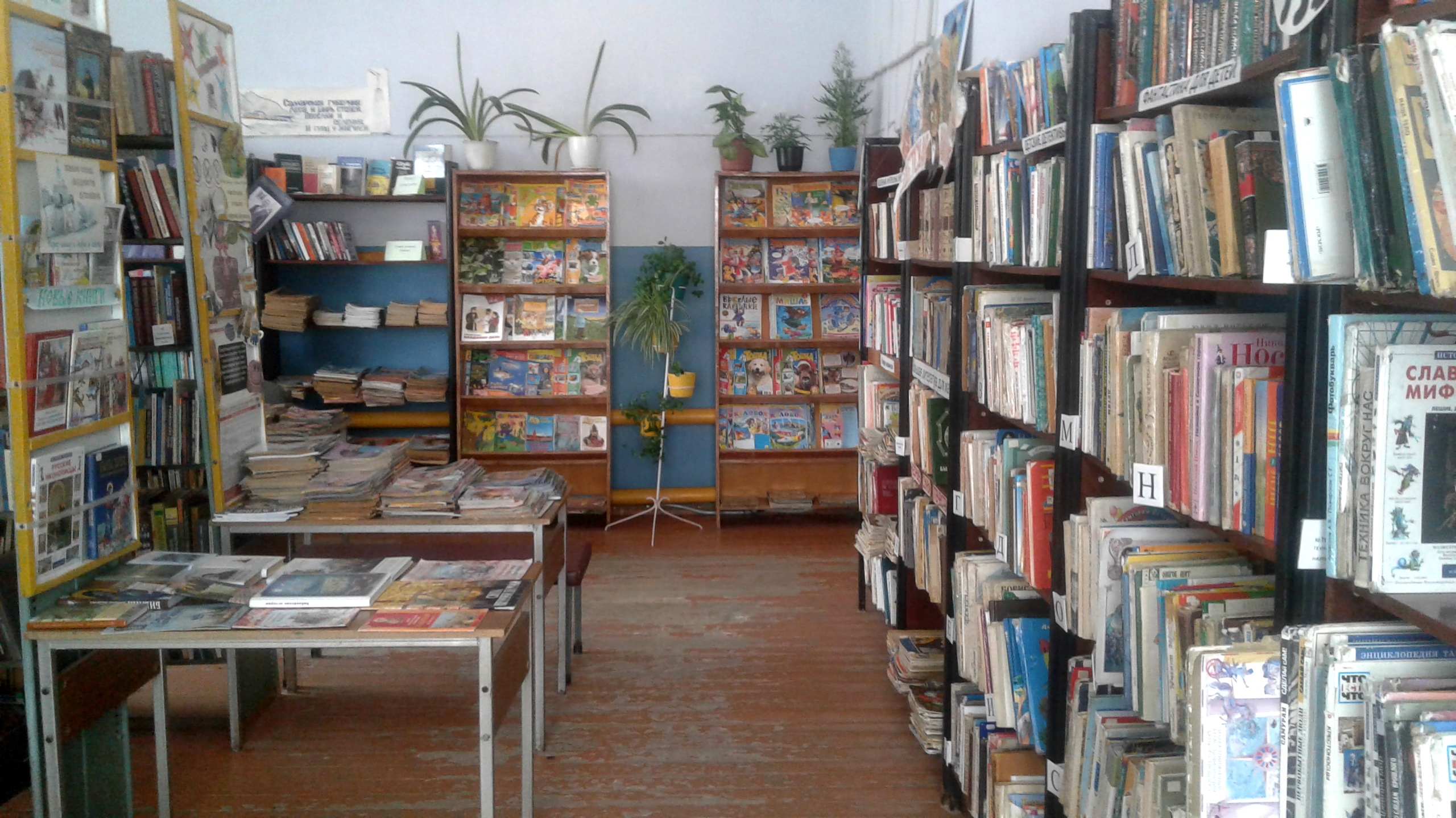 Марьевская сельская библиотека