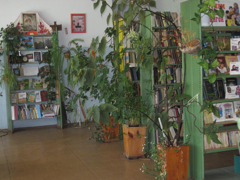 Воробьевская сельская библиотека