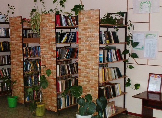 Библиотека с. Ново-Ивановское