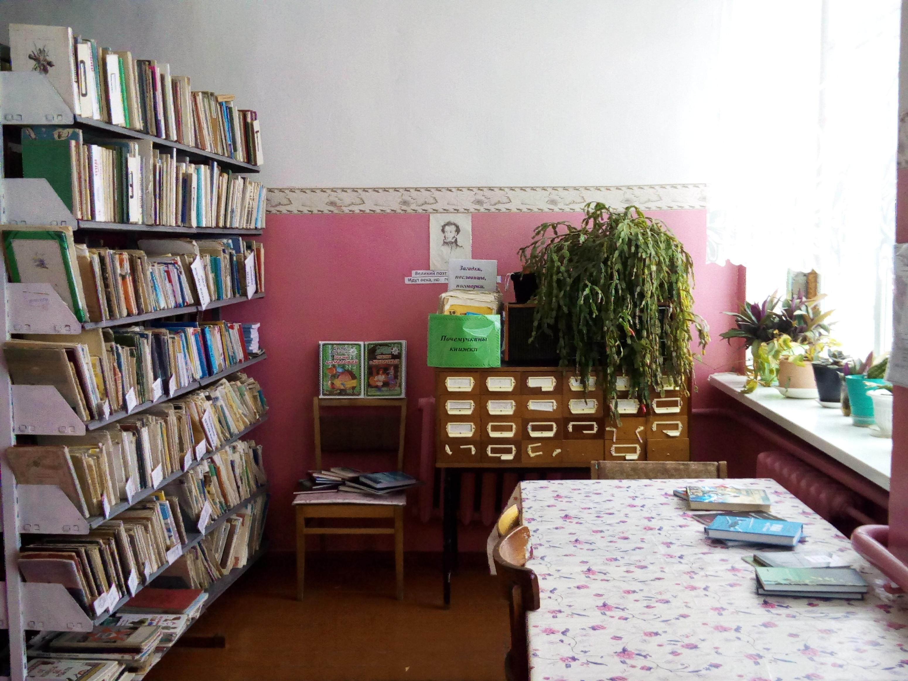 Ильменская сельская библиотека