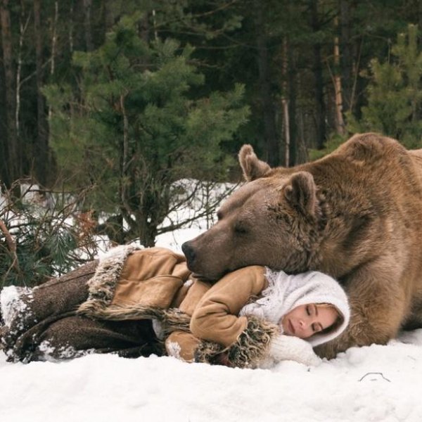 Лекция «Медведь в России больше, чем медведь»