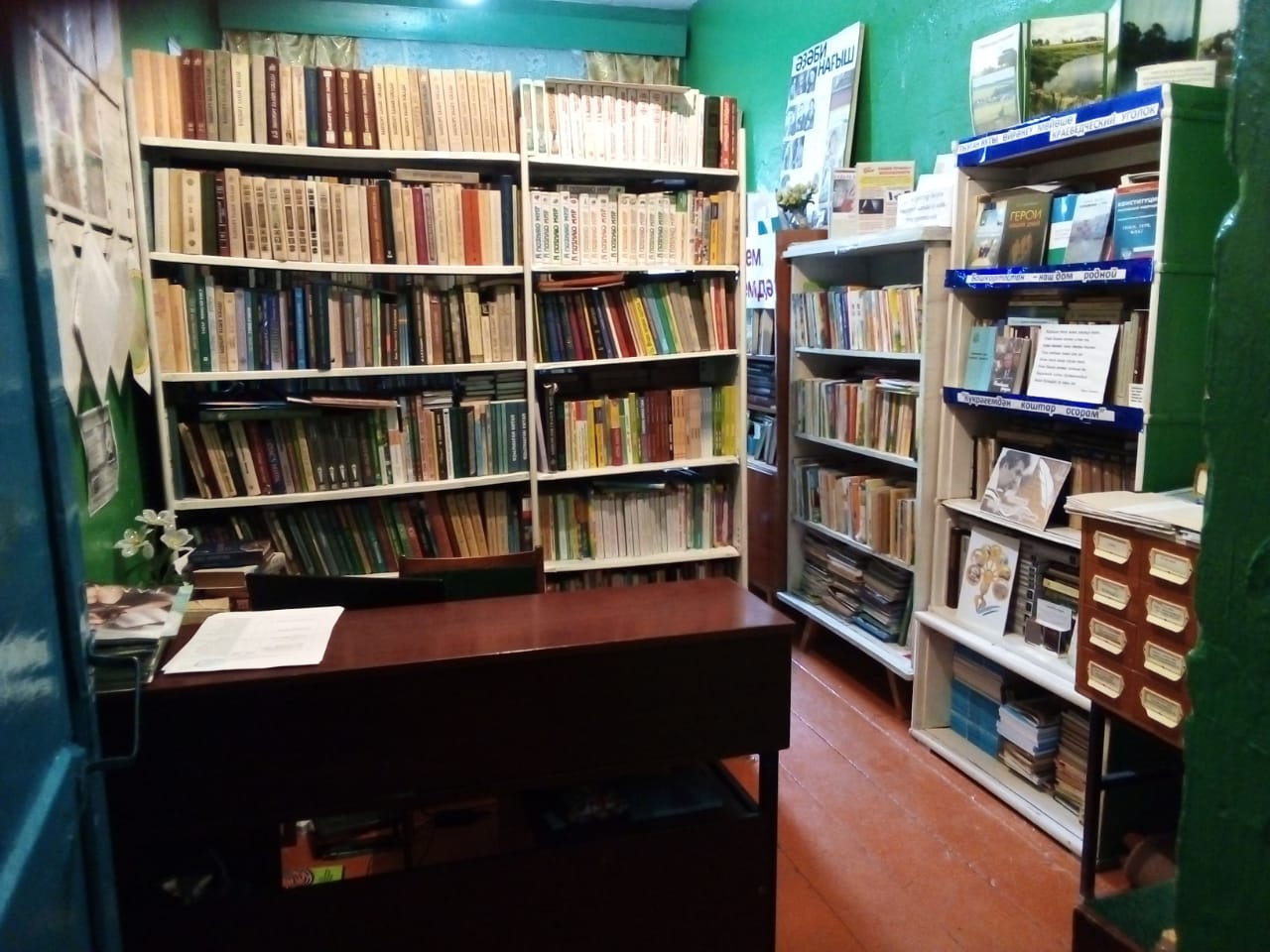 Старокарагушевская сельская библиотека