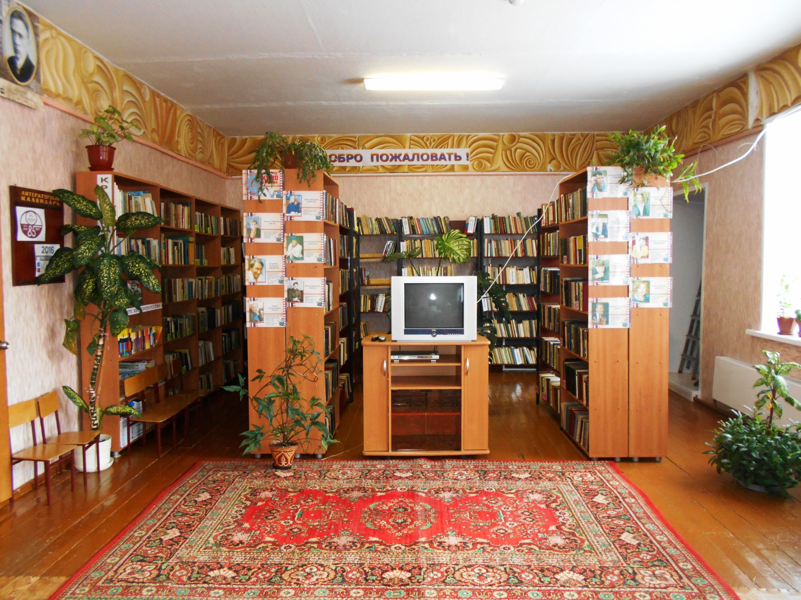 Новобачатская модельная сельская библиотека