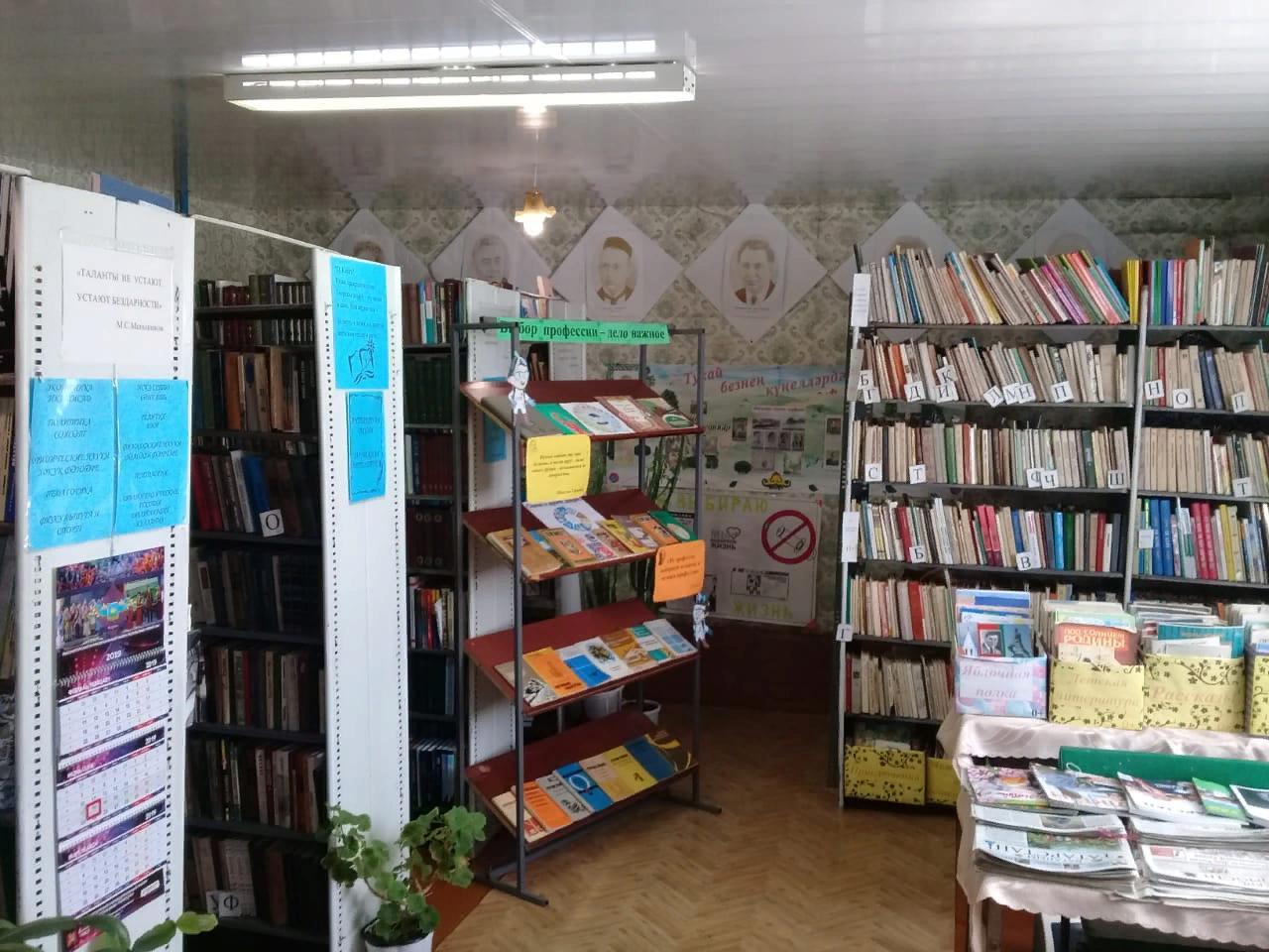 Берёзкинская сельская библиотека-филиал № 5