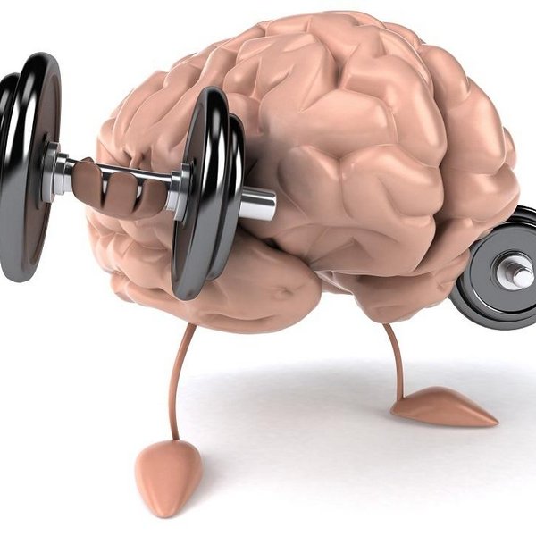 Интерактивная программа «Фитнес для мозга»
