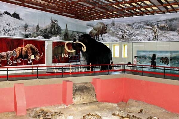 Государственный археологический музей-заповедник «Костенки»