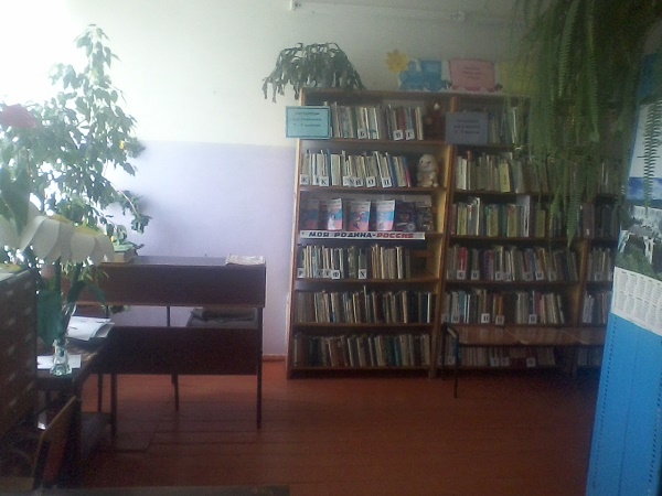 Володинская сельская библиотека
