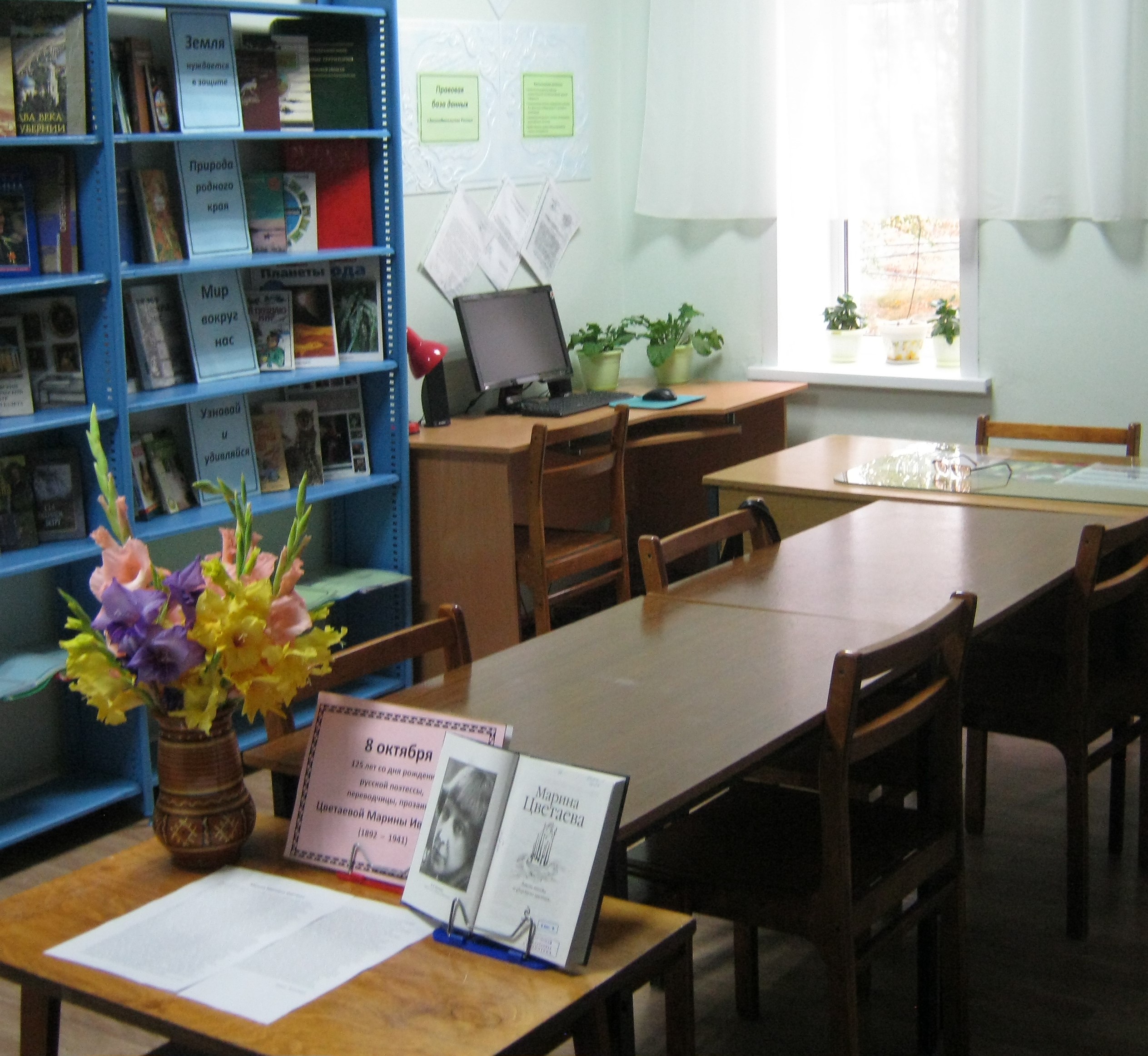Новокрасавская сельская библиотека