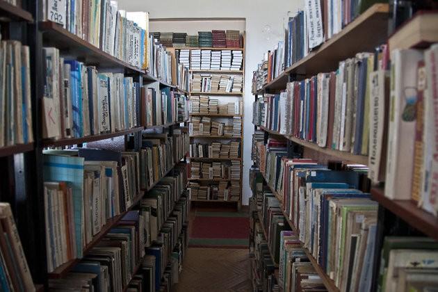 Раевская сельская библиотека