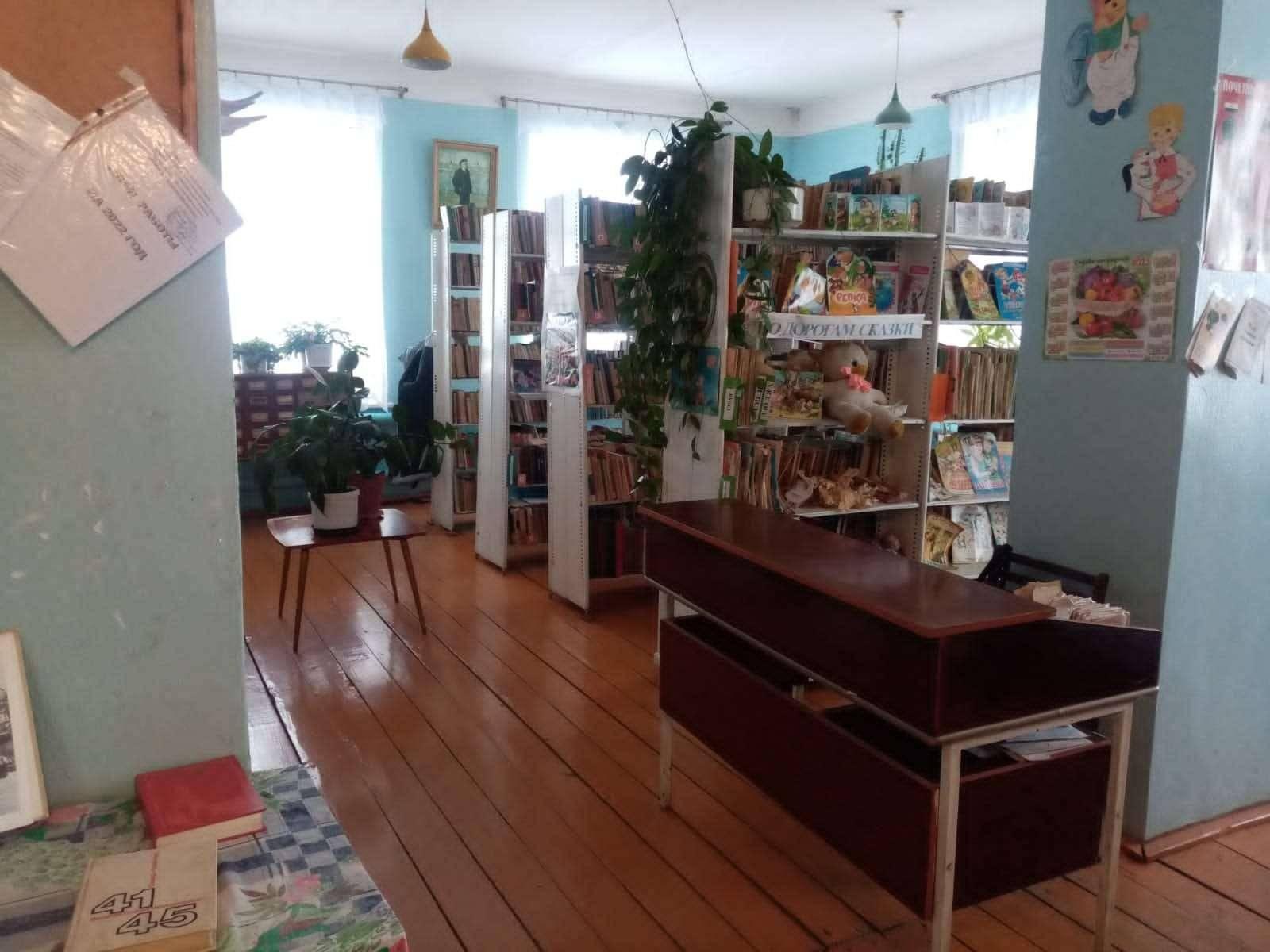 Каменская сельская библиотека