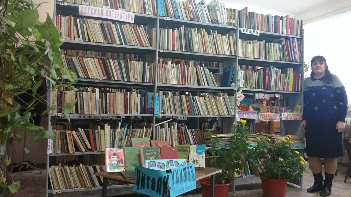 Плоскинская сельская библиотека