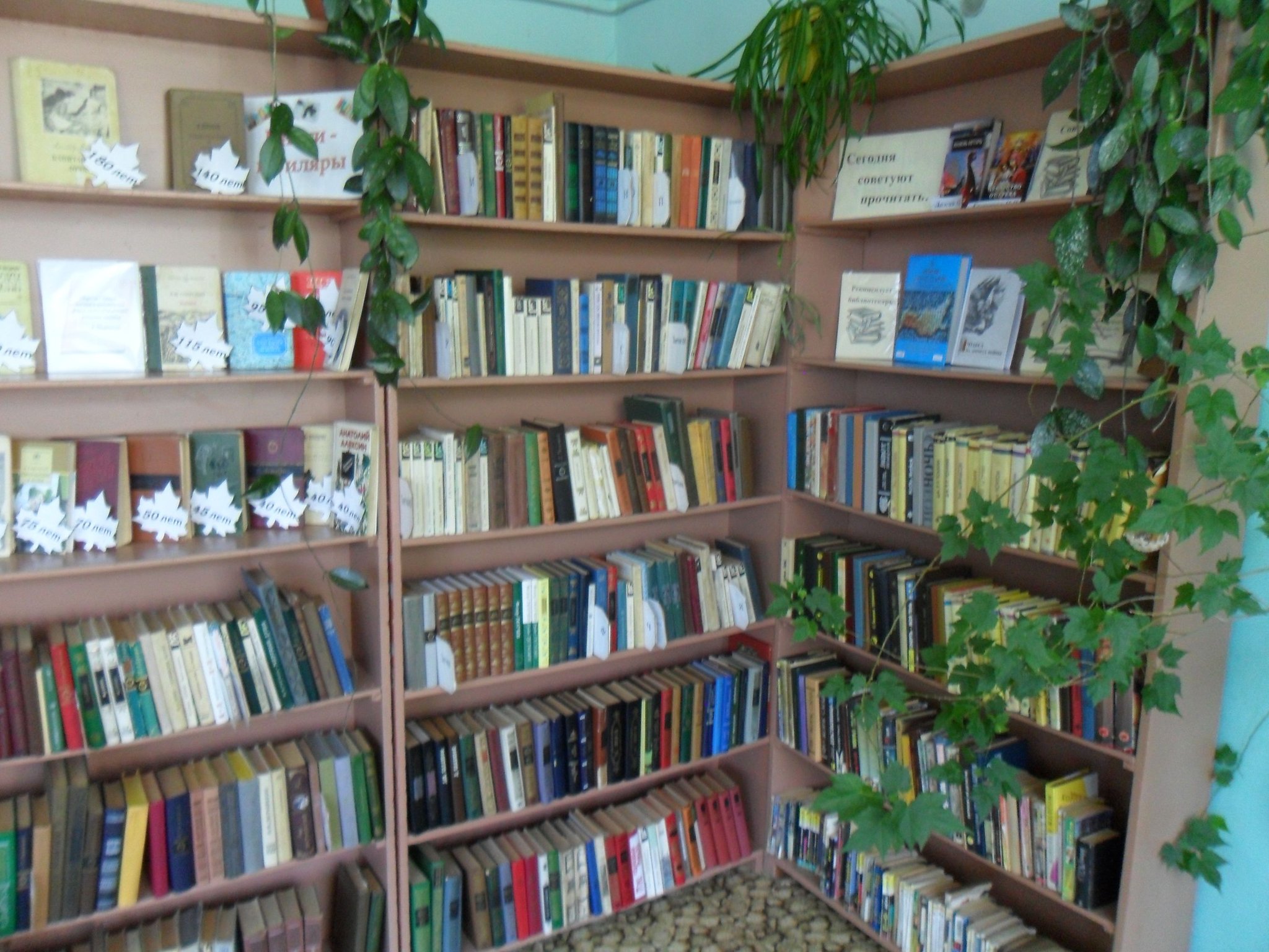 Брянкустичская поселенческая библиотека