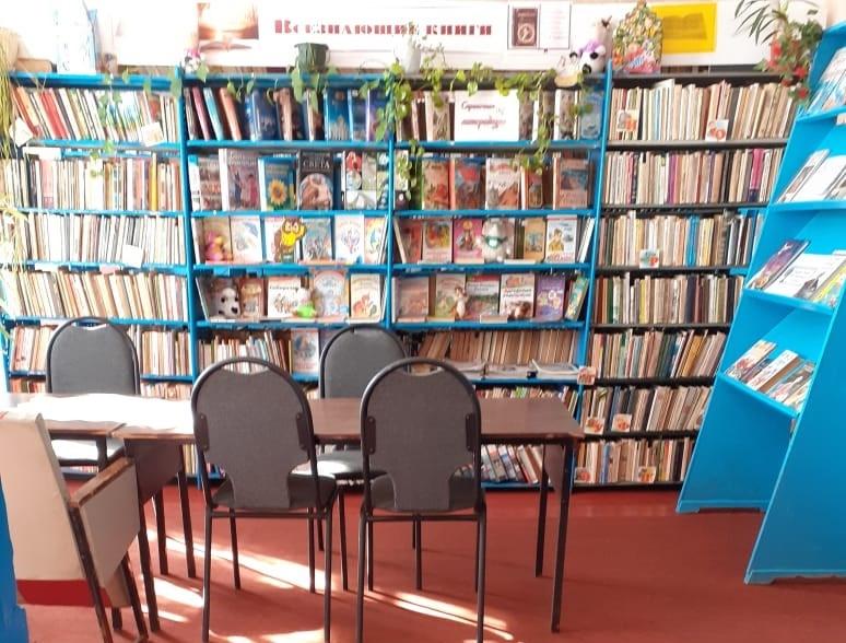 Болотская сельская библиотека