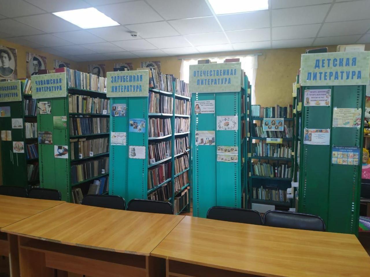 Питишевская сельская библиотека