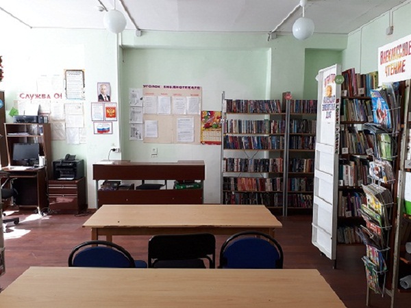 Винсовхозская библиотека