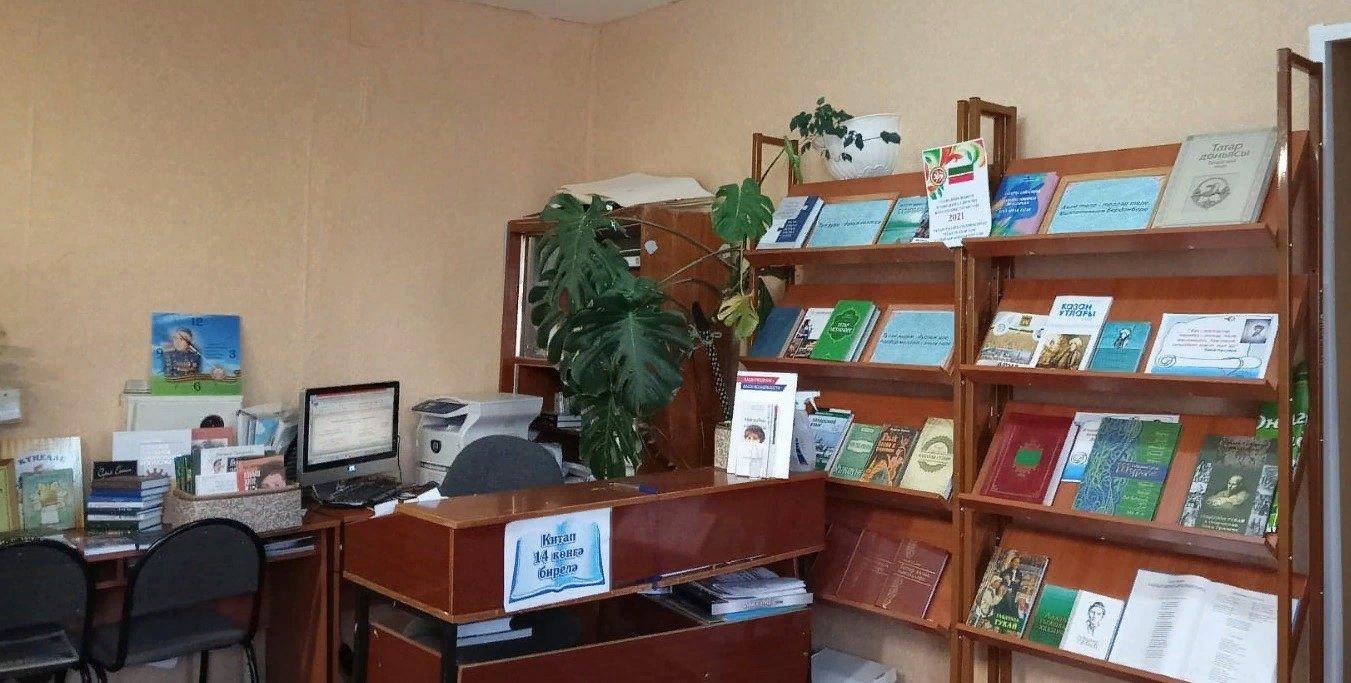 Шушмабашская сельская библиотека-филиал № 55