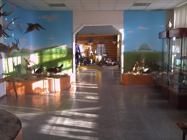 Борзинский районный краеведческий музей