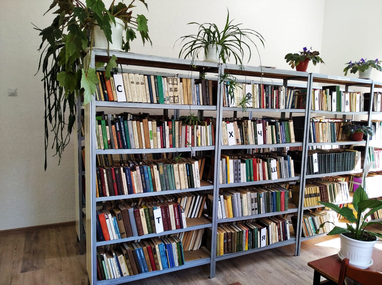 Карасуевская сельская библиотека