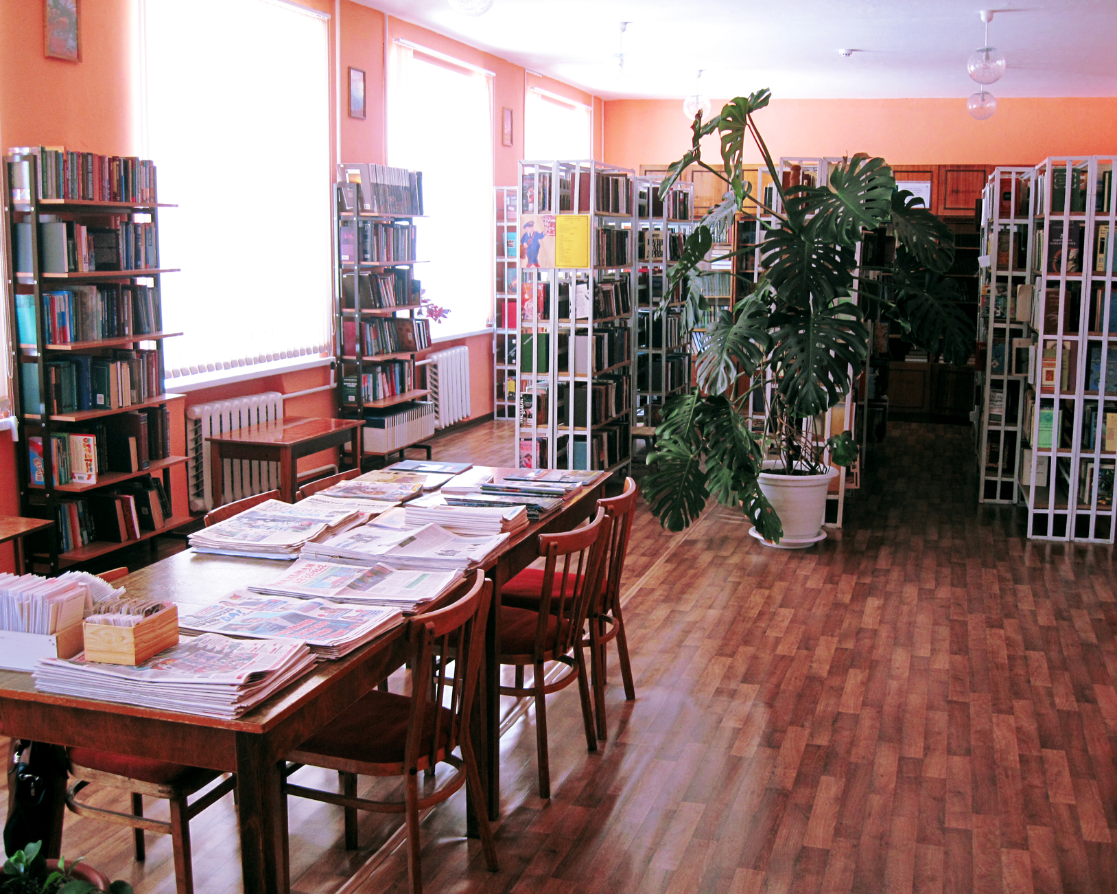Новоспасская сельская библиотека