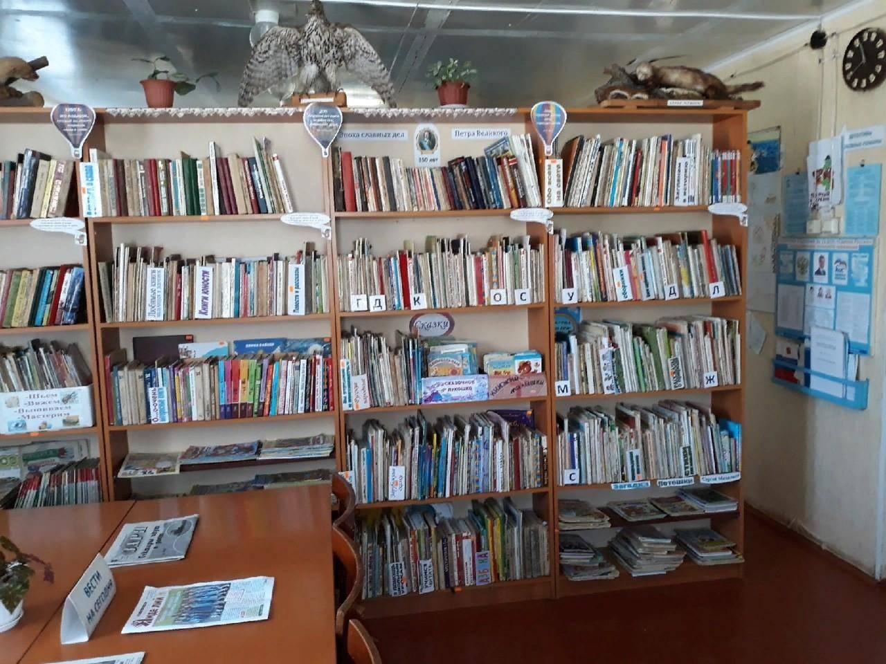Шорсолинская сельская библиотека