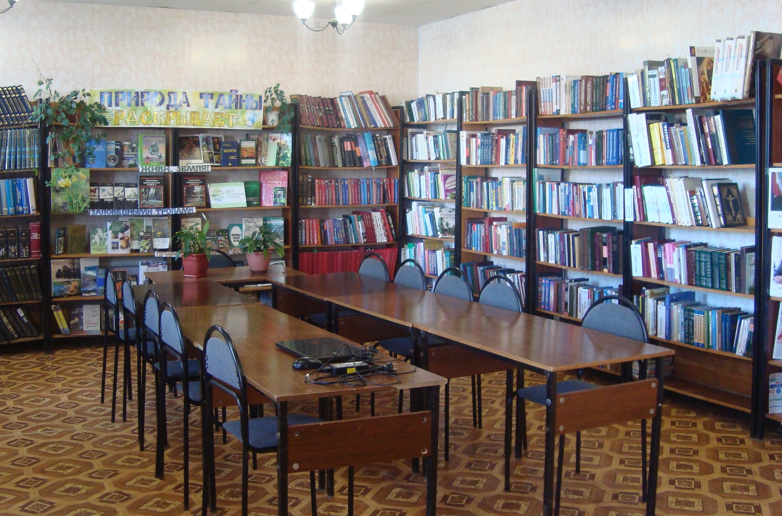 Центральная районная библиотека п. Екатериновка