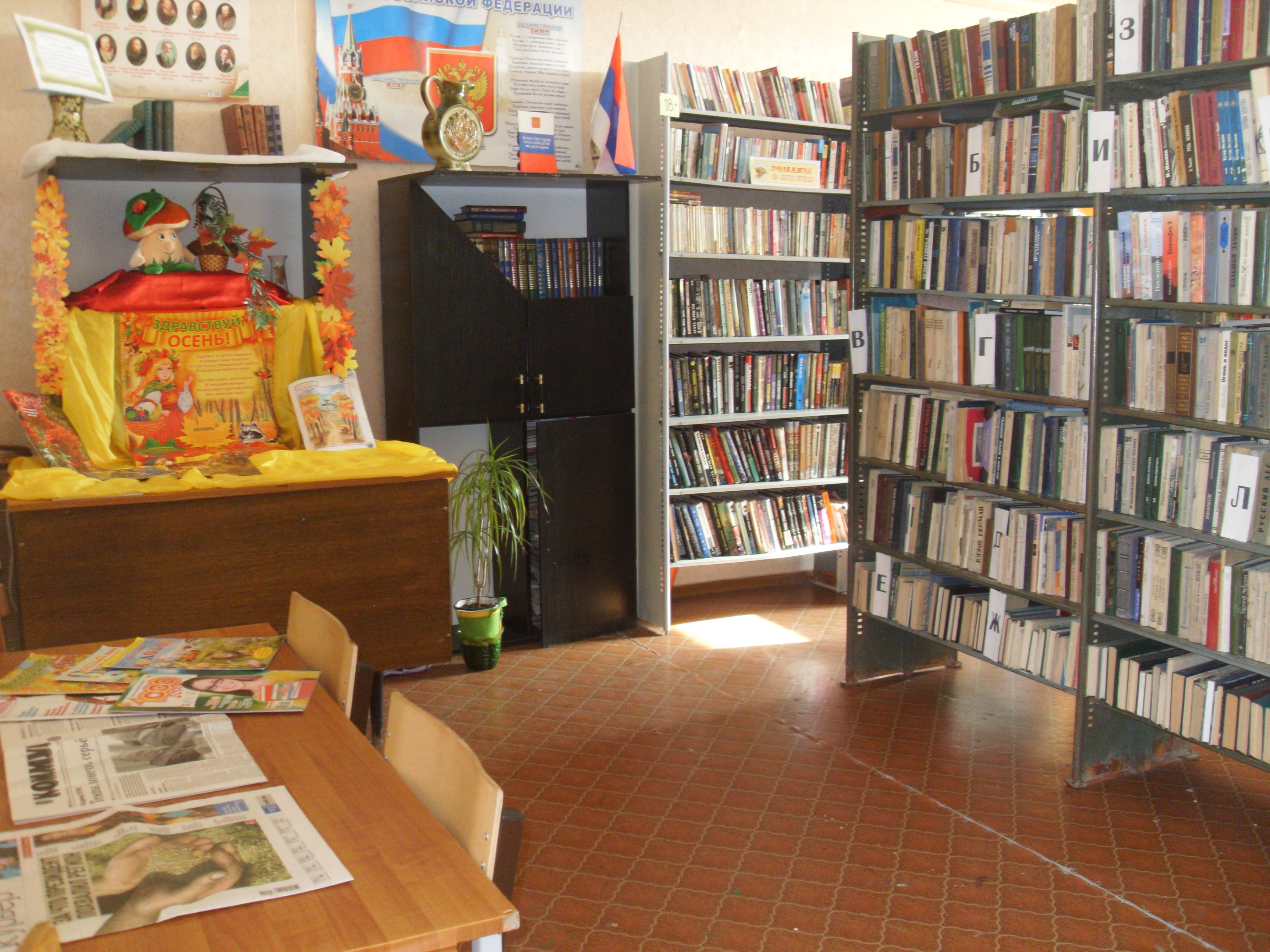 Вишневская сельская библиотека