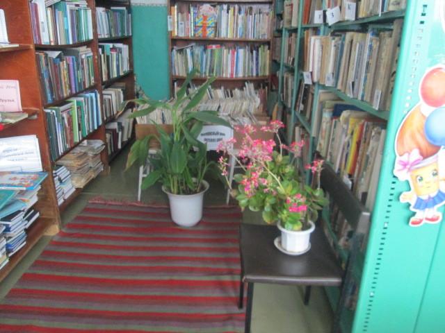 Русско-Ошняковская сельская библиотека