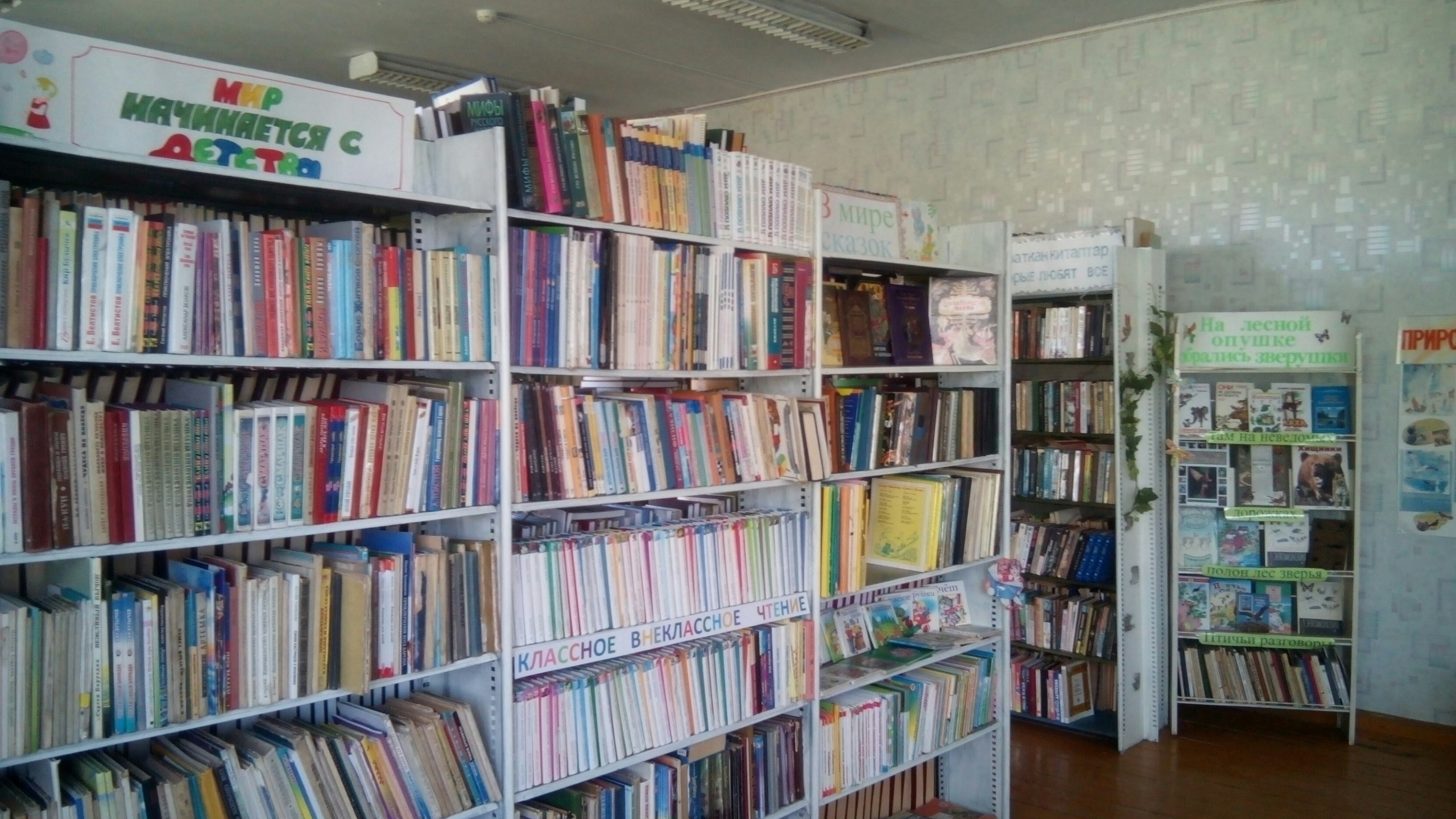 Кебячевская сельская библиотека
