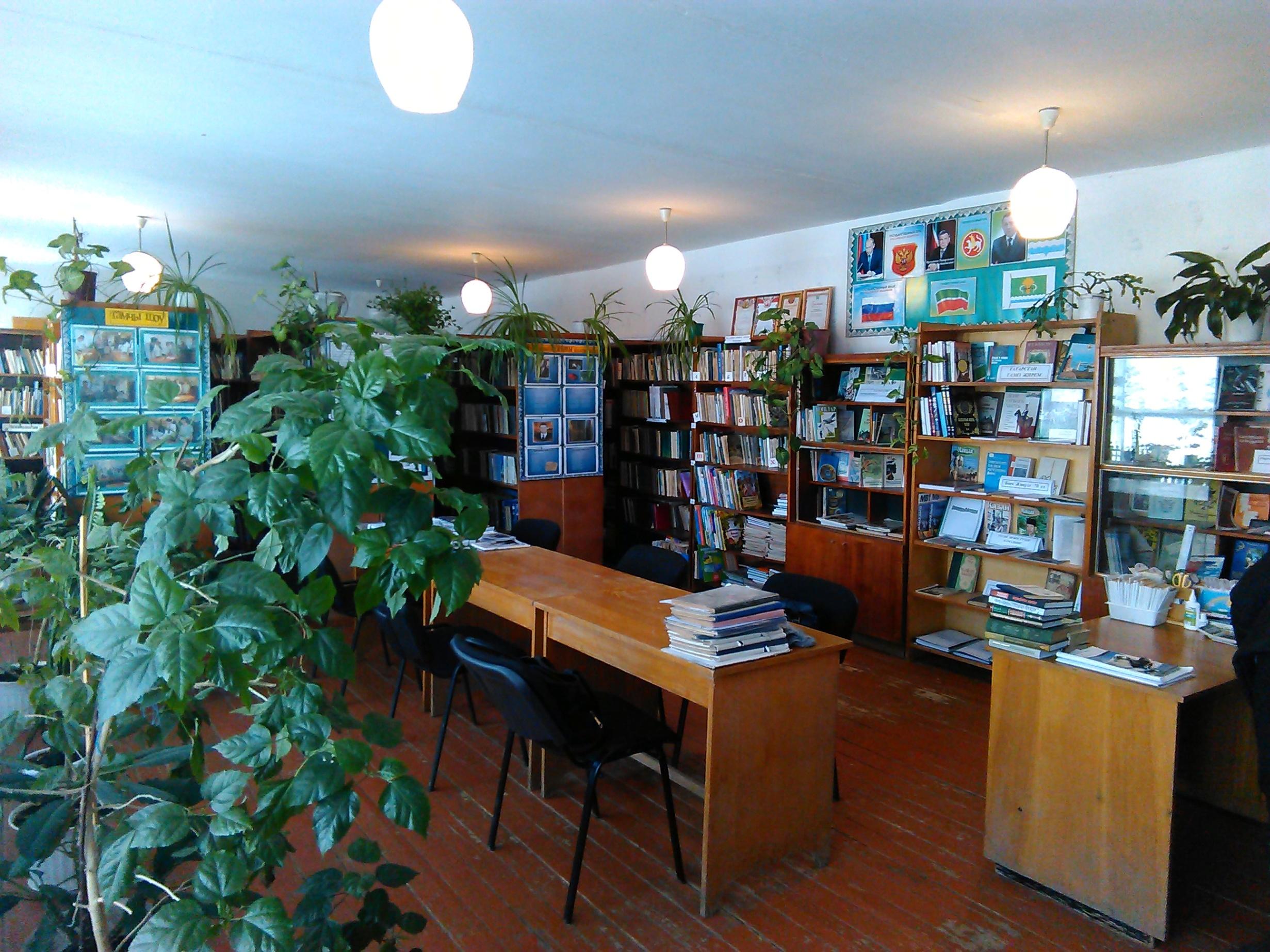 Шадчинская сельская библиотека-филиал № 47