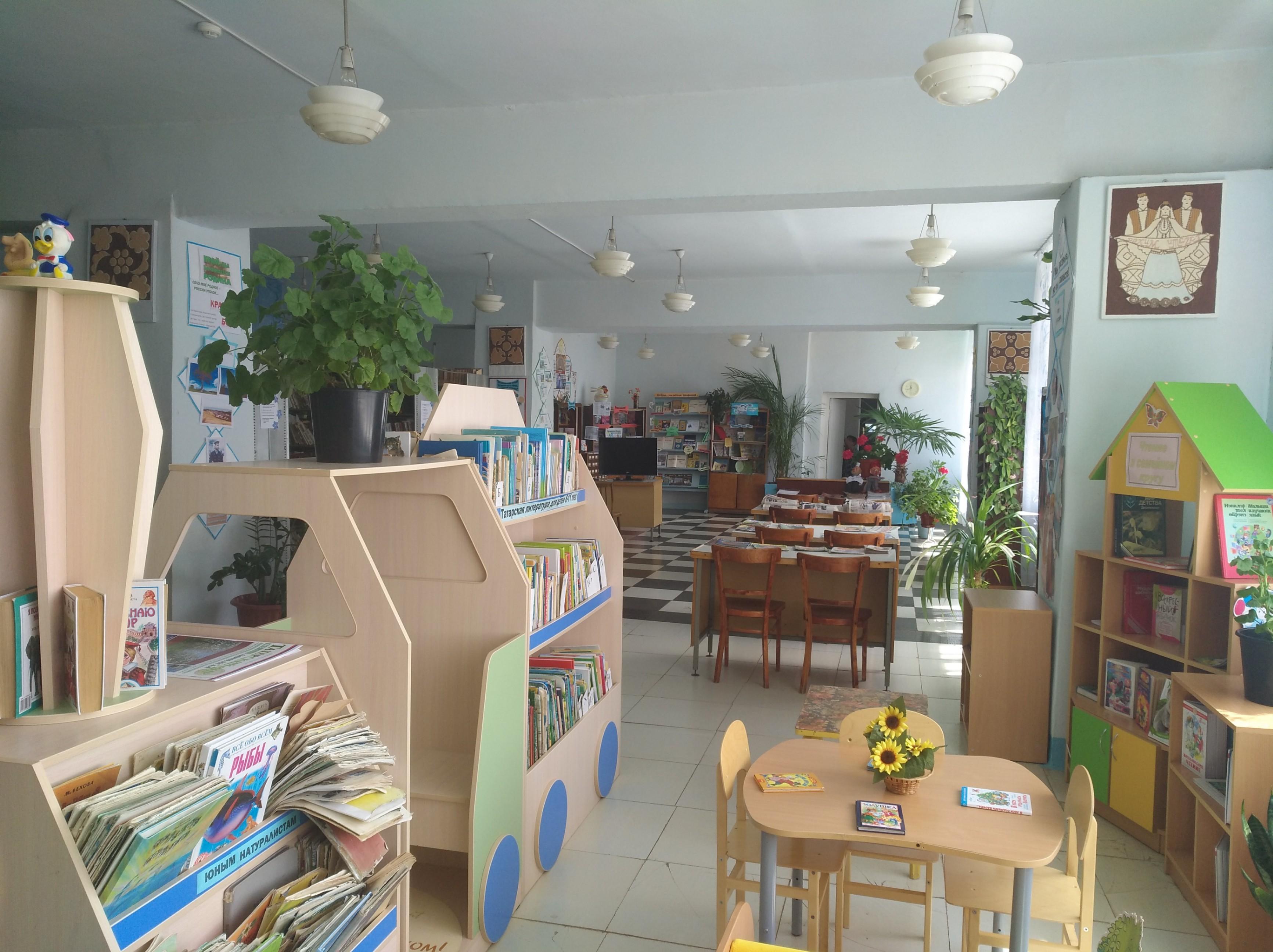 Красноборская сельская библиотека