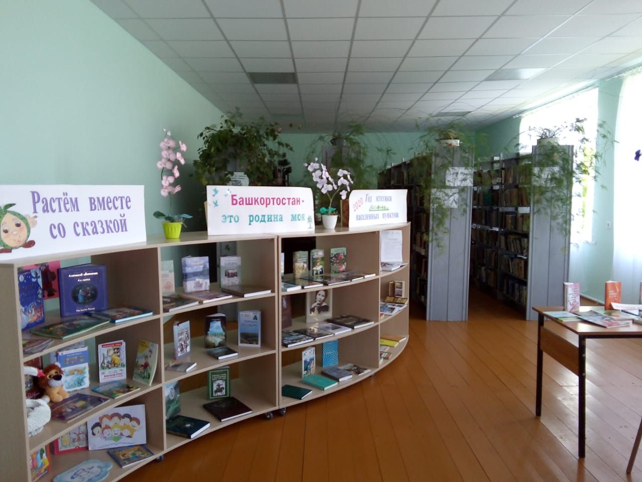 Бакаевская сельская модельная библиотека