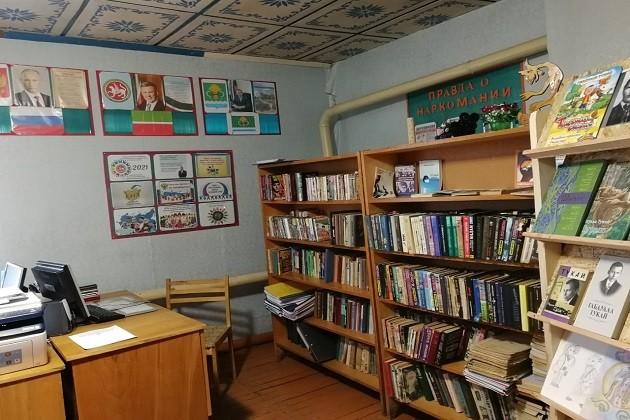 Дигитлинская сельская библиотека-филиал № 12