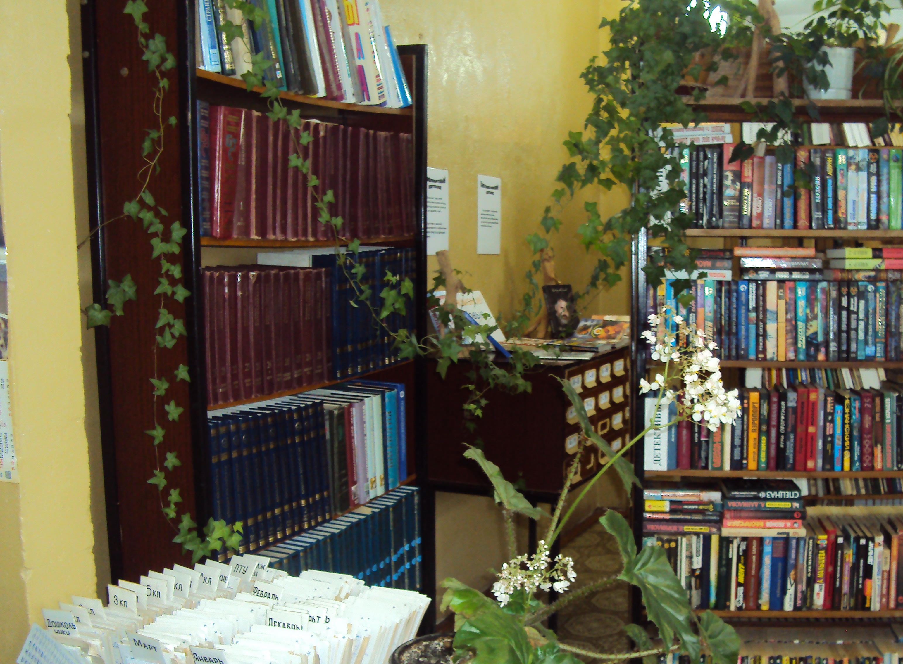 Вороновская сельская библиотека