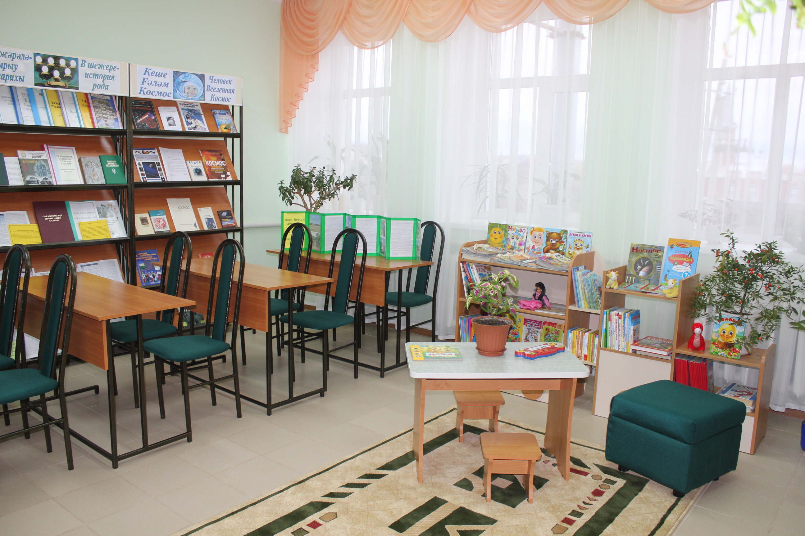 Новонагаевская сельская модельная библиотека
