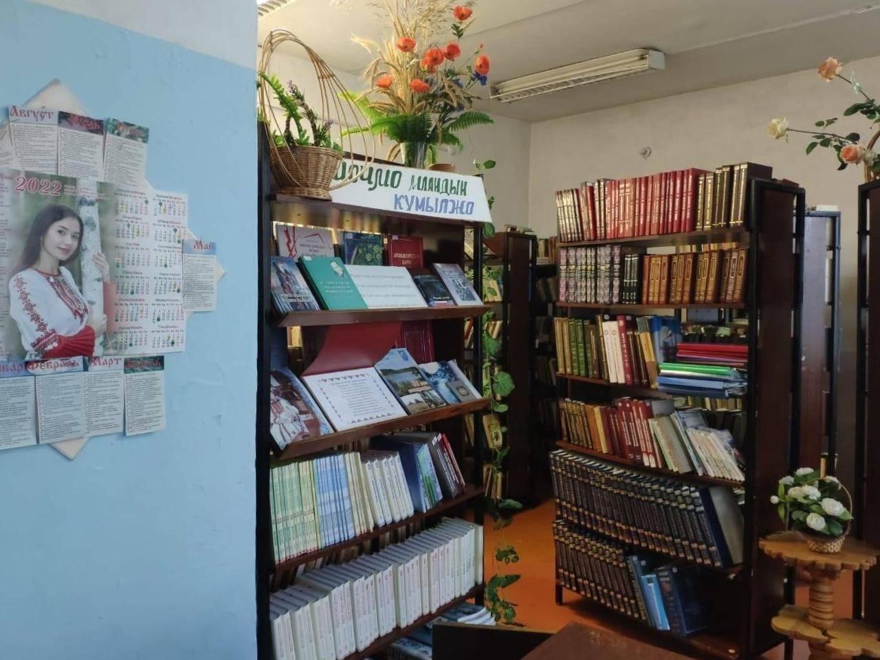 Карайская сельская библиотека