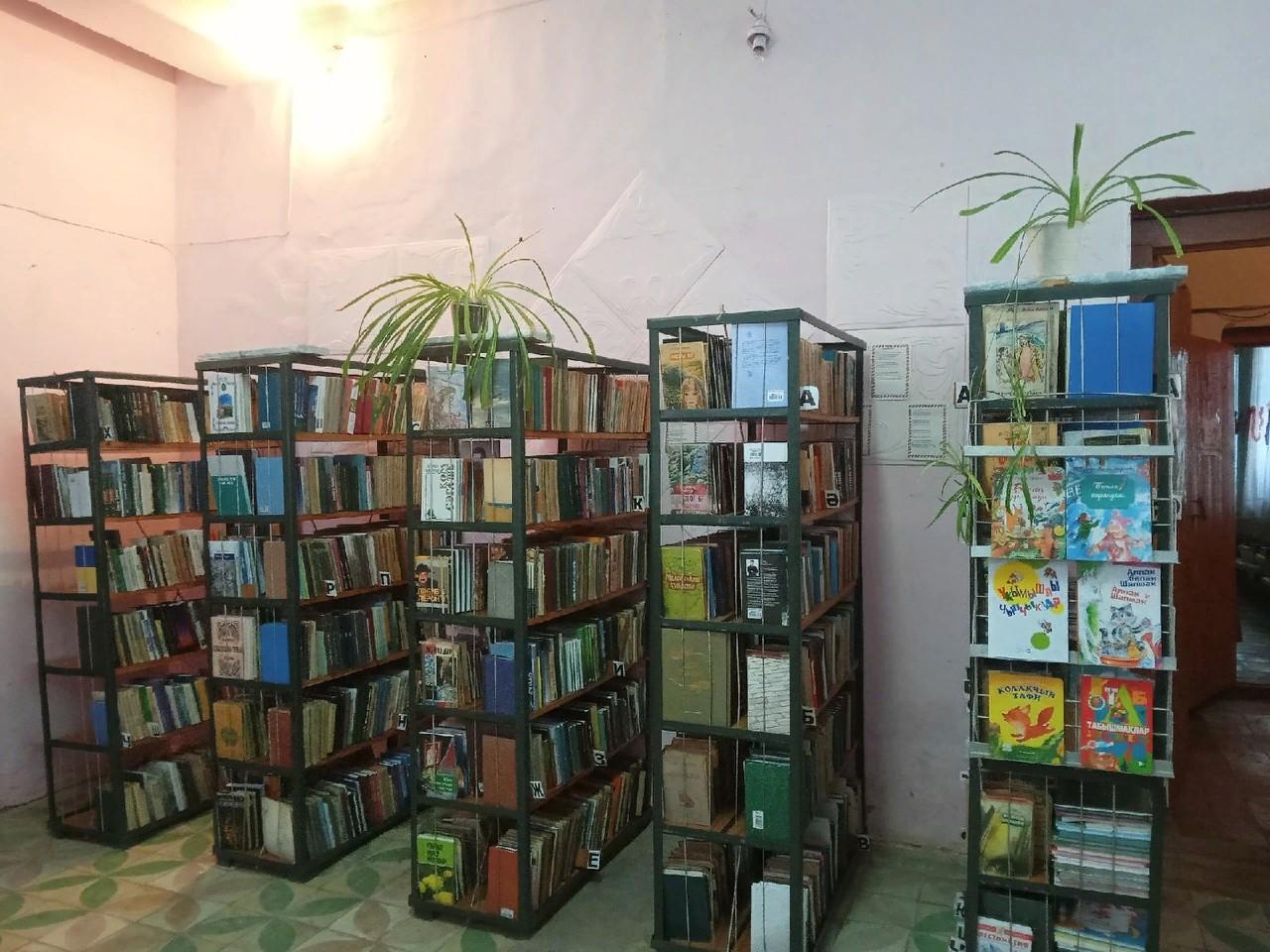 Девятернинская сельская библиотека