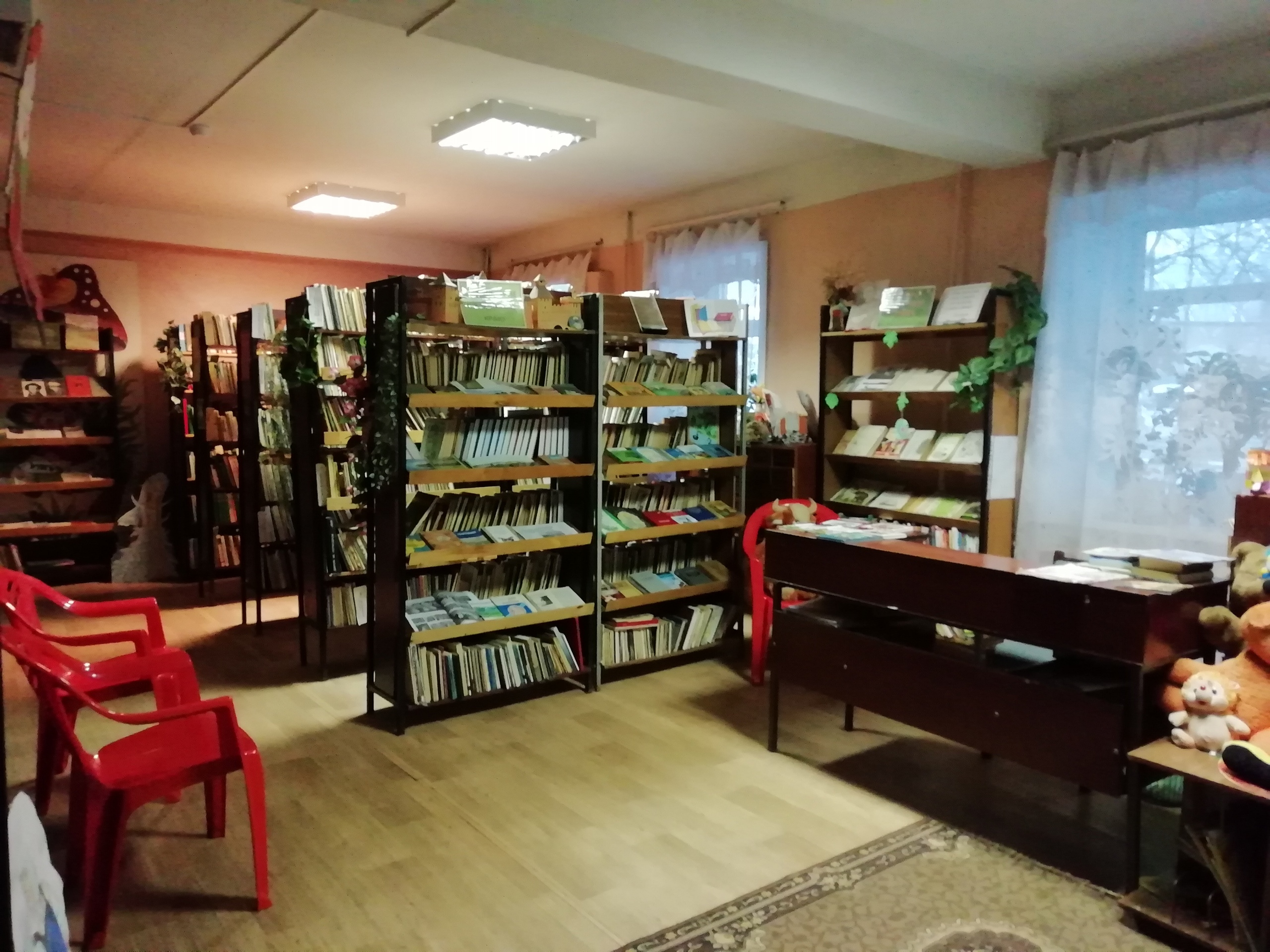 Центральная районная библиотека г. Сольцы