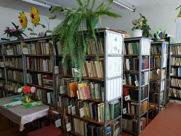 Паскинская сельская библиотека-филиал имени Ф. Ф. Павленкова