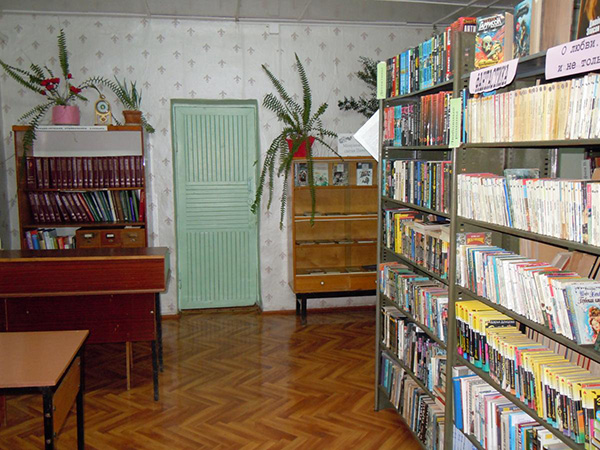 Сельская библиотека села Шаро-Аргун