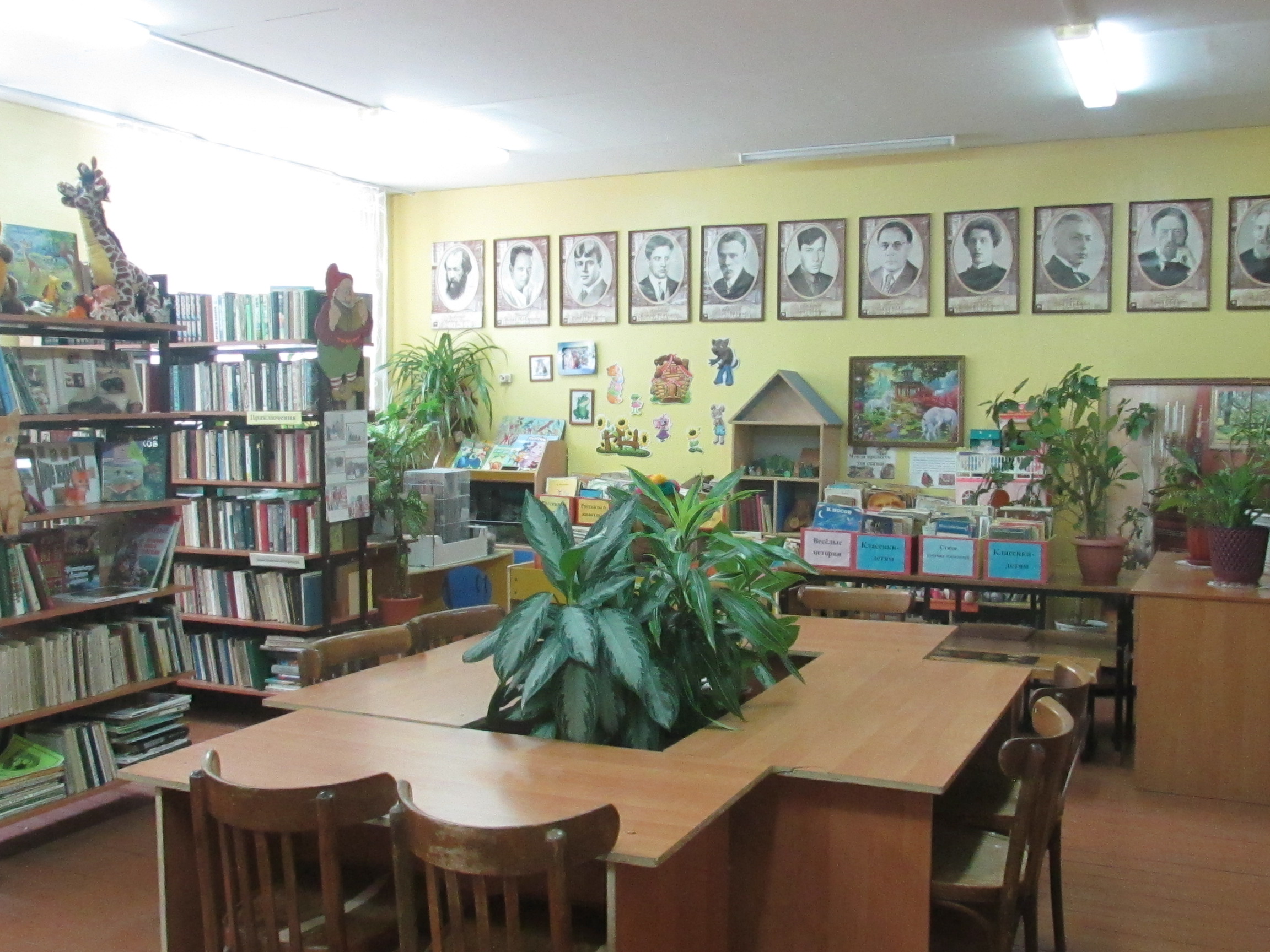 Новосельская библиотека