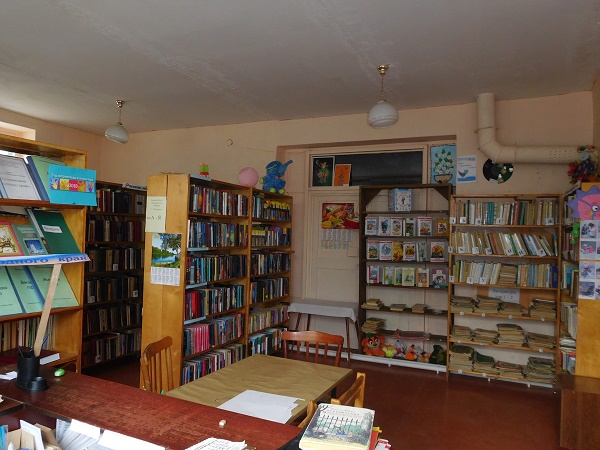 Брынская сельская библиотека