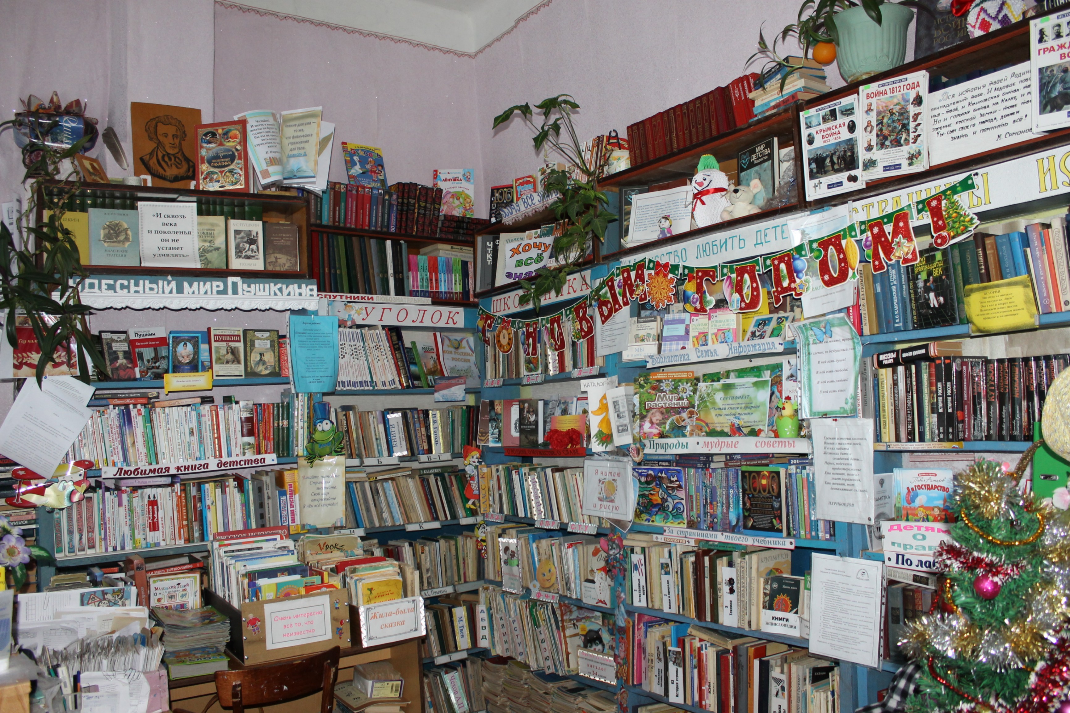 Афанасьевская сельская библиотека