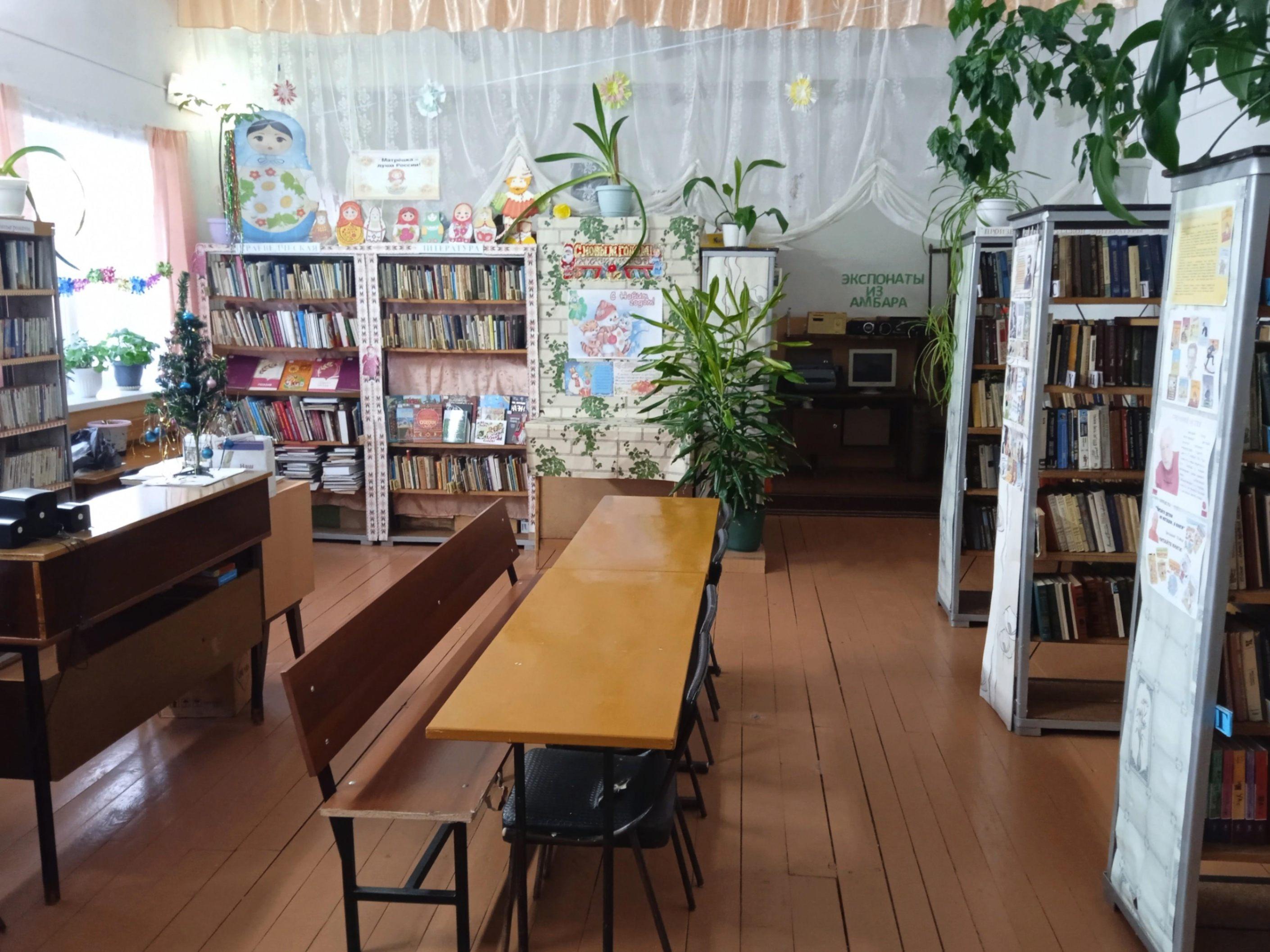 Саркузская сельская библиотека