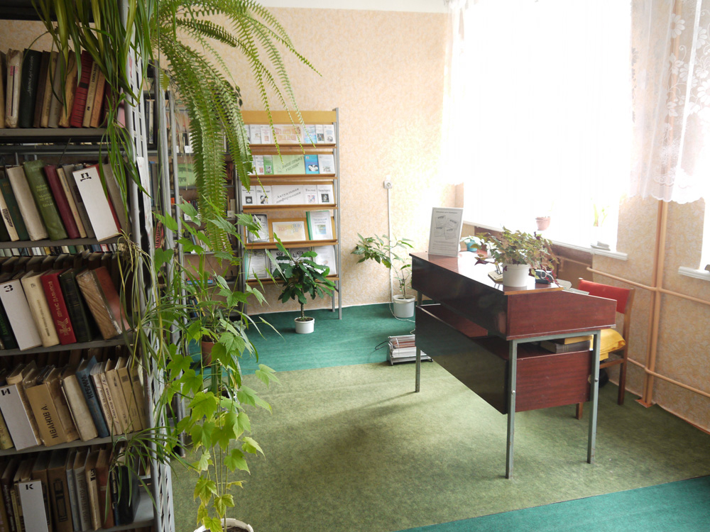 Богдановщинская сельская библиотека-филиал № 9