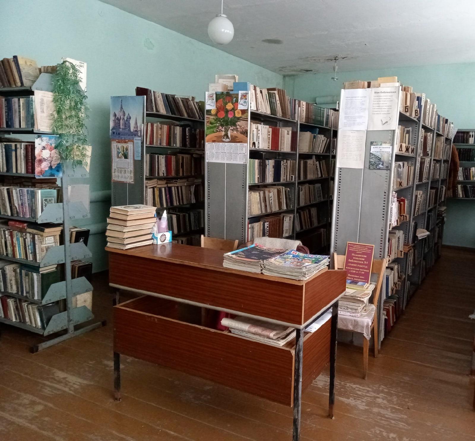 Песковская сельская библиотека № 1