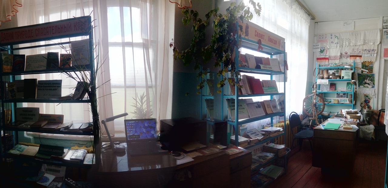 Березовская сельская библиотека