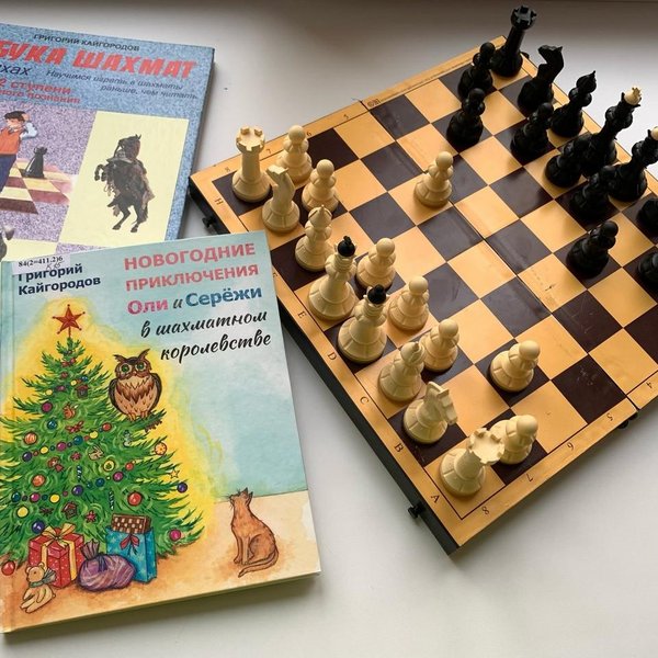 Семейная встреча «Путешествие в шахматное королевство»