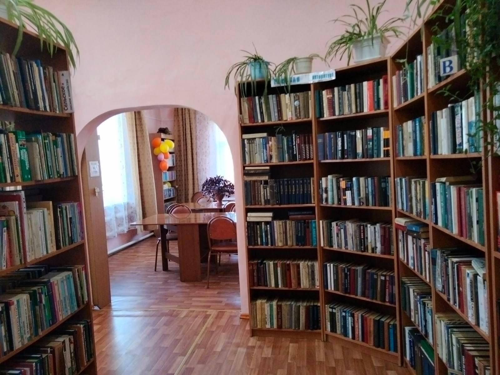 Библиотека-филиал № 6 п. Новопавловка